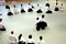 Shibata Sensei. :: &copy; Karen Geiger Wolek